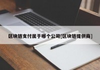 区块链支付属于哪个公司[区块链提供商]