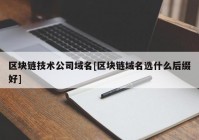 区块链技术公司域名[区块链域名选什么后缀好]